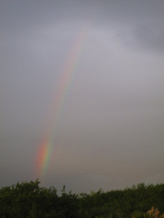 Florida Rainbow